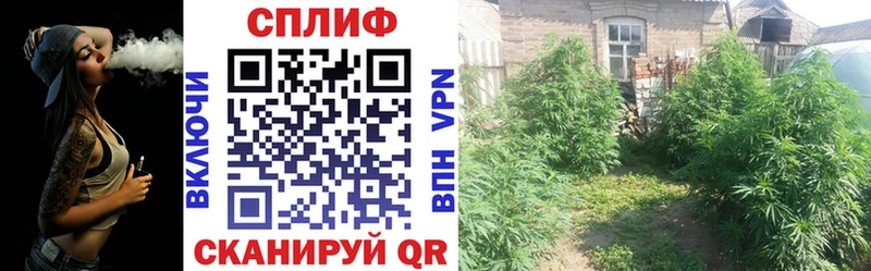 Канабис OG Kush  Златоуст 